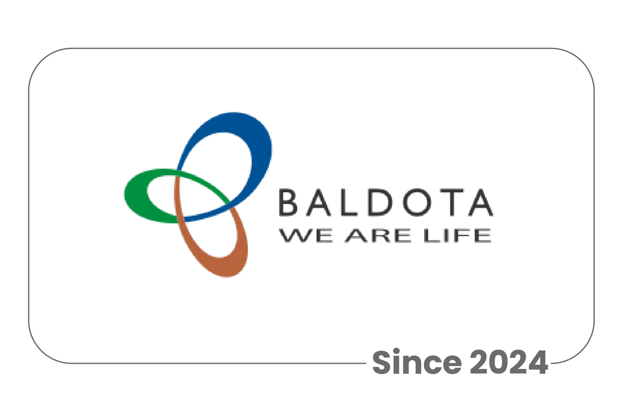Baldotta